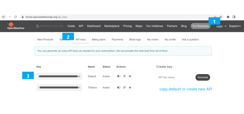 How To Copy API Key from OpenWeatherMap 