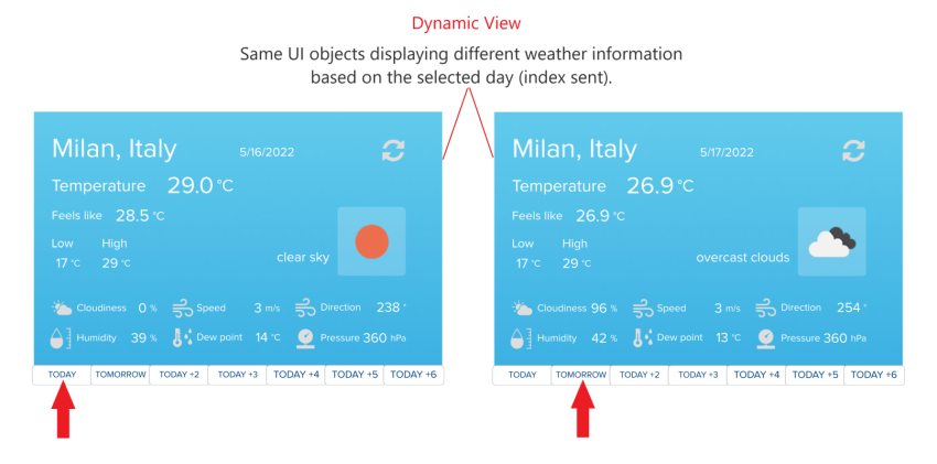 Dynamic View 